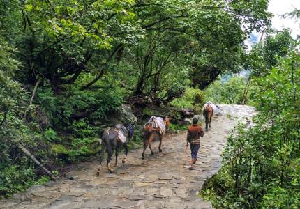 Hemkunt Sahib Yatra