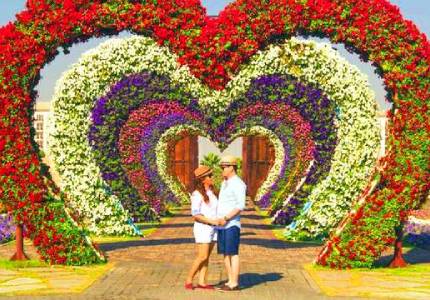 Chandigarh–Shimla–Manali Scenic Drive Tour