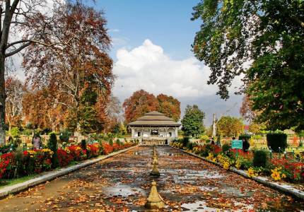 Kashmir Dreams Unfold – A Himalayan Journey from Chandigarh