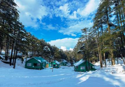 Kashmir Dreams Unfold – A Himalayan Journey from Chandigarh