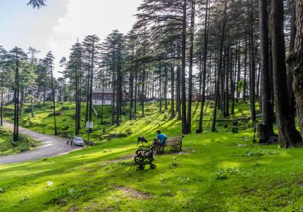 Kashmir Calling – Journey from Amritsar to Srinagar