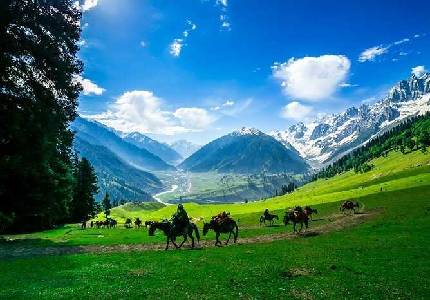 Kashmir Calling – Journey from Amritsar to Srinagar