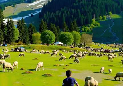 Taxi Service in Kashmir