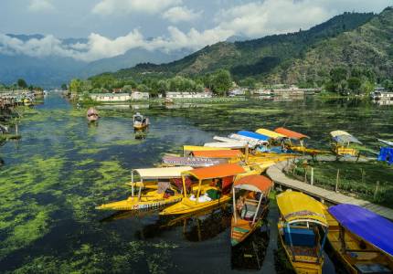 Taxi Service in Katra