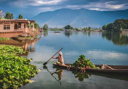Kashmir Dreams Unfold – A Himalayan Journey from Chandigarh