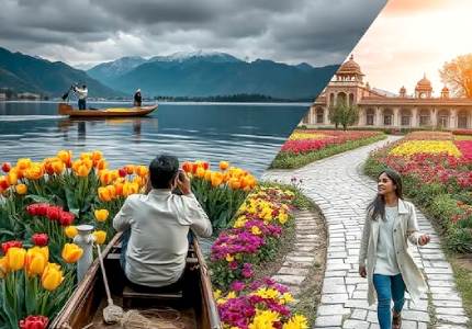 Jammu & Kashmir Tours
